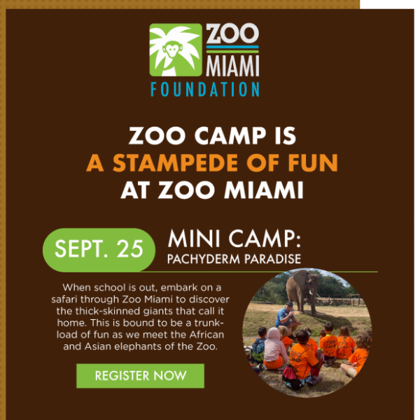 Fall Into This Season of Zoo Camp!