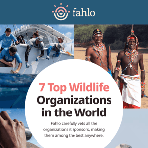 Top Wildlife Organizations in the World REVEALED