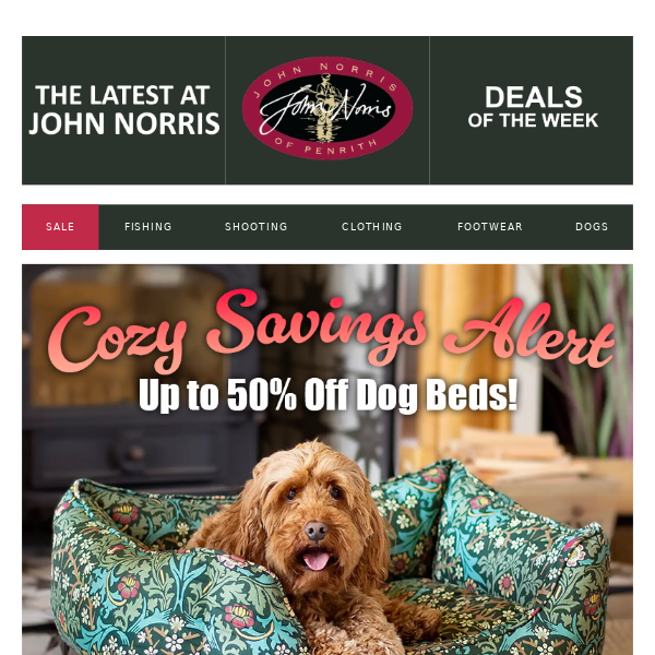 John Norris - Latest Emails, Sales & Deals