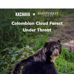 Get 10% off, donate 10% to save Colombian wildlife