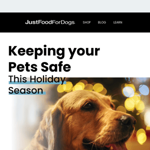 The Top 5 Holiday Hazards for Pets