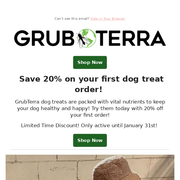 Save 20% on your first dog treat order!
