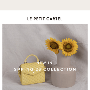 Nos best-sellers du printemps 🌼