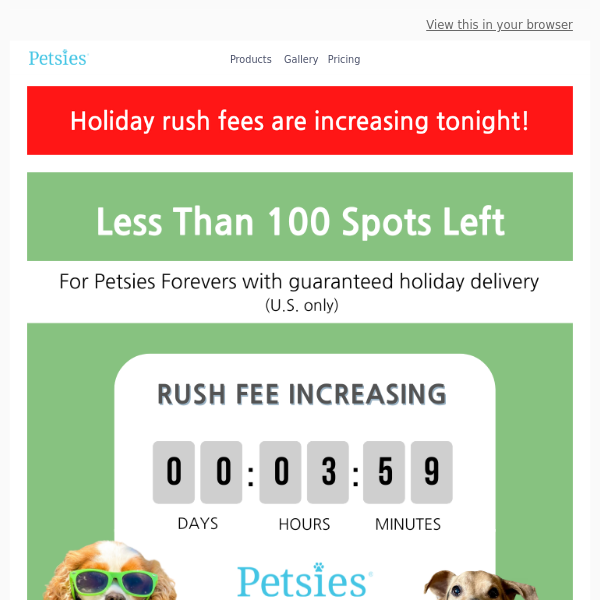 Rush fee for holiday delivery increasing in few hours!