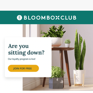 Bloombox Club Loyalty Program: EARN AS YOU SHOP for your favourites 🛒