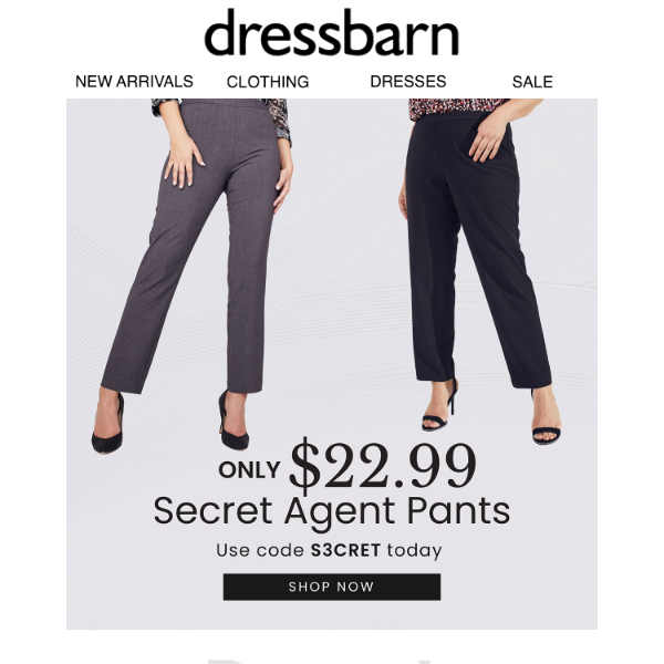 PSST. 🤫 $22.99 Secret Agent Pants!
