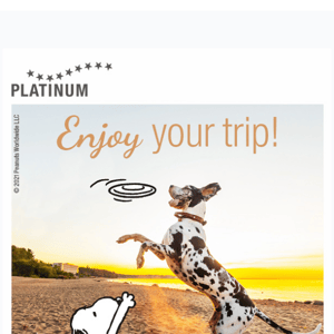 Holiday with your dog - pure relaxation!