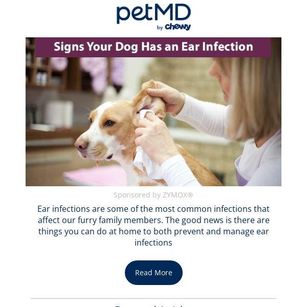 7 Signs Your Dog Has an Ear Infection