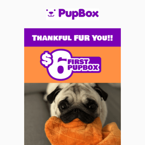 💜 PupBox is Thankful for YOU Pup Box!