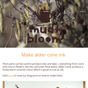 🌿Make alder cone ink and a nature noughts and crosses game
