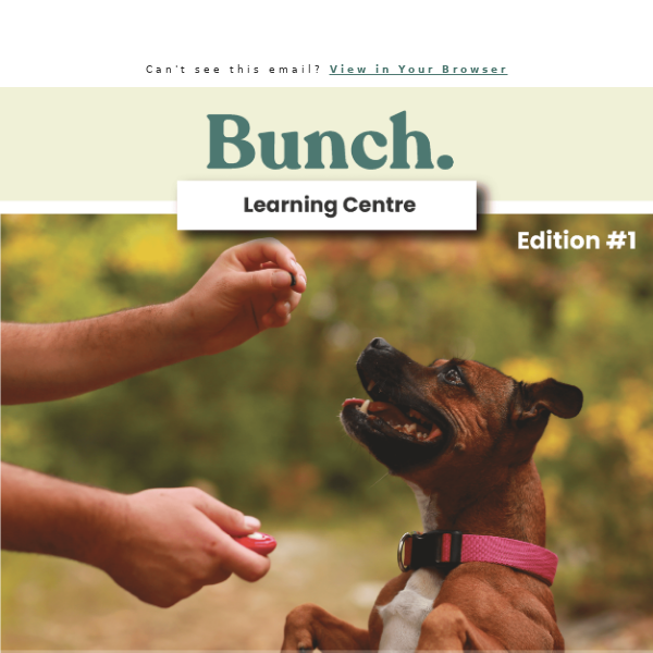 Edition #1 Learning Centre with Bunch 🐾