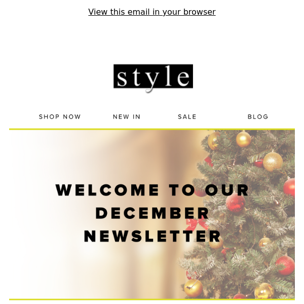 Welcome to Our December Newsletter! 🎄