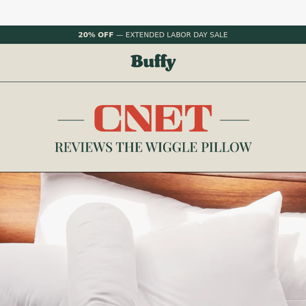 CNET reviews the Buffy Wiggle Pillow