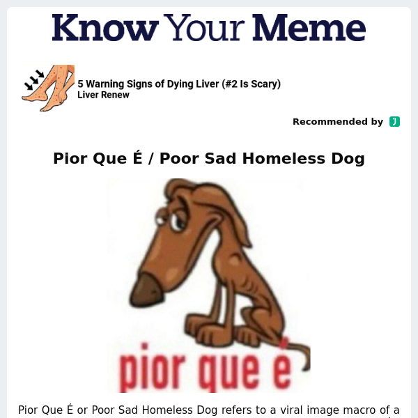 Pior Que É / Poor Sad Homeless Dog