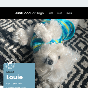 Meet JustFoodForDogs Pet of the Week: Louie!