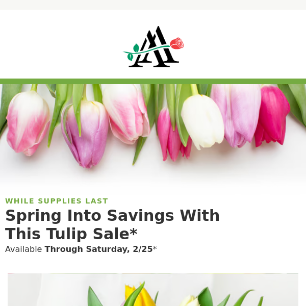 🌷 TULIP SALE 🌷 Brighten Up Your Week With Our Special Bouquet!