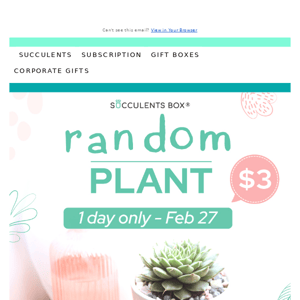 Still time to score a random plant for just $3!