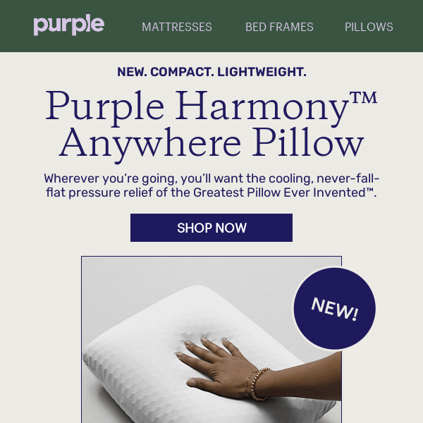 NEW PRODUCT: The Famous Pillow — Now Travel Size