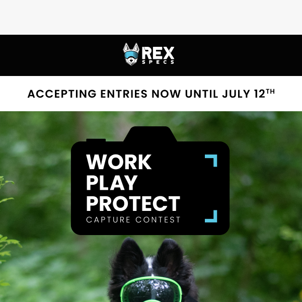 Introducing the Work, Play, Protect Capture Contest