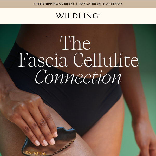 Fascia & Cellulite, Here's the deal