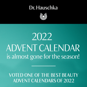 Almost Sold Out! 2022 Advent Calendar