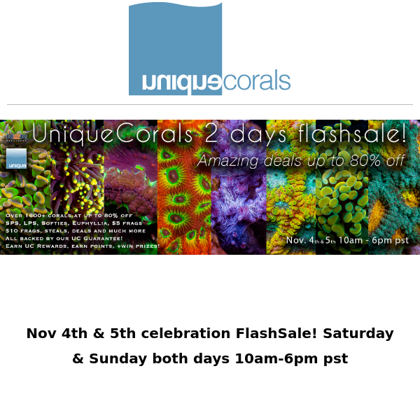 Final day of our 2 day flashsale starts now!! 1600+ corals at up to 80%+ off , don't miss out on this epic event  ﻿ ﻿ 　　