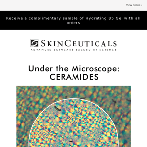 Under the Microscope: Ceramides
