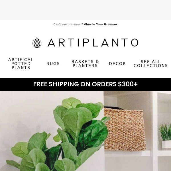🌿 Make The Best Out of Your Space Artiplanto