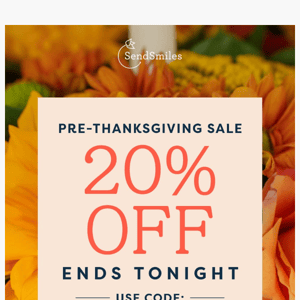 Our  Pre-Thanksgiving Sale Ends TONIGHT