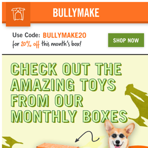 Have you seen the ZOOMIN BULLYMAKE Toys? 🚗