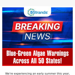 Stay Informed: Blue-Green Algae Outbreaks Across All 50 States!