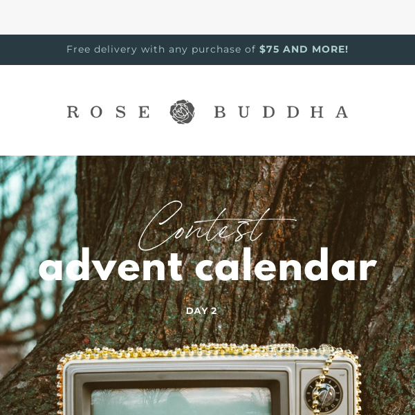 DAY 2 Advent Calendar Contest 💫