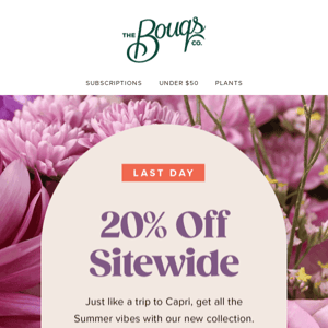 Last Chance! 20% Off Sitewide