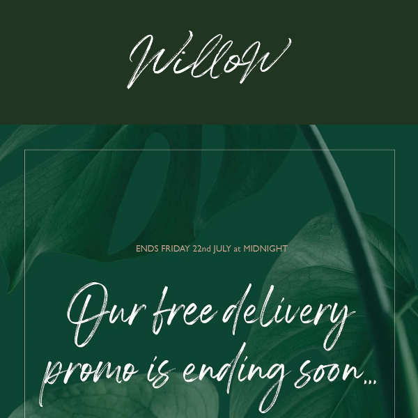 FINAL CALL! Free delivery promo ending soon...