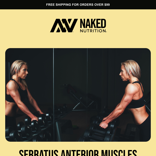 Serratus Anterior: The Most Underrated Muscle?