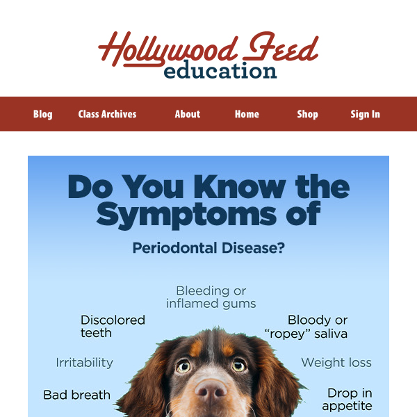 Do You Know the Symptoms of Periodontal Disease? 🦷🤔