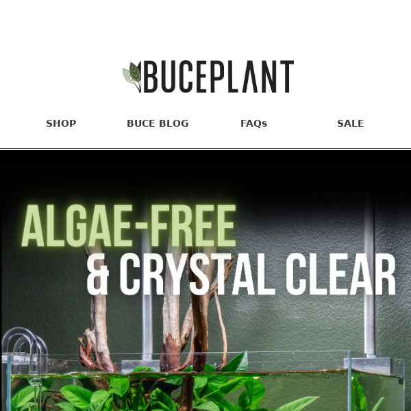 100% Natural Algae Control 🌱🐠 Available Now!