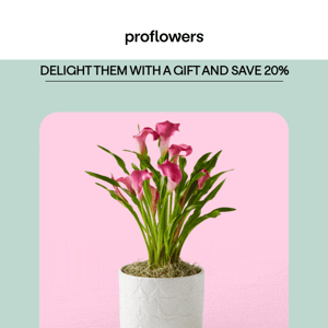 shop new flowers, plants and gifts