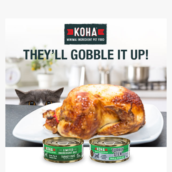 [EXTENDED] 15% OFF Turkey Stew and Paté for Cats