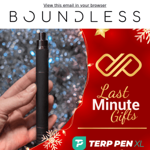 Holiday Savings - Terp Pen XL