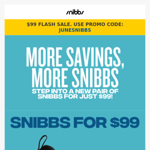 $99 Snibbs... one day only!