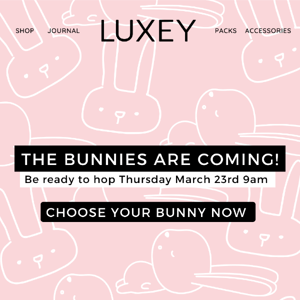 COMING SOON! Our Famous Bunny Cups  🐰