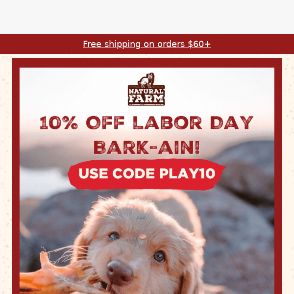 10% Labor Day Bark-ain!