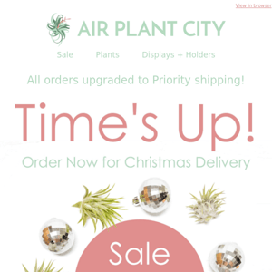 Times up! Order now for Christmas! 🎅✨