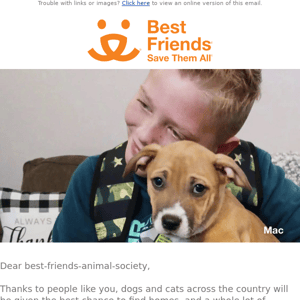 Best Friends Animal Society, so many people paid it forward! 🧡