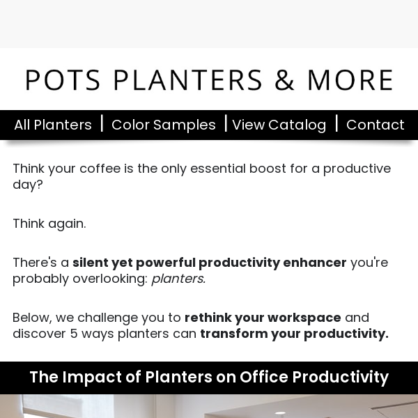 5 Surprising Ways Planters Can Transform Your Work Life