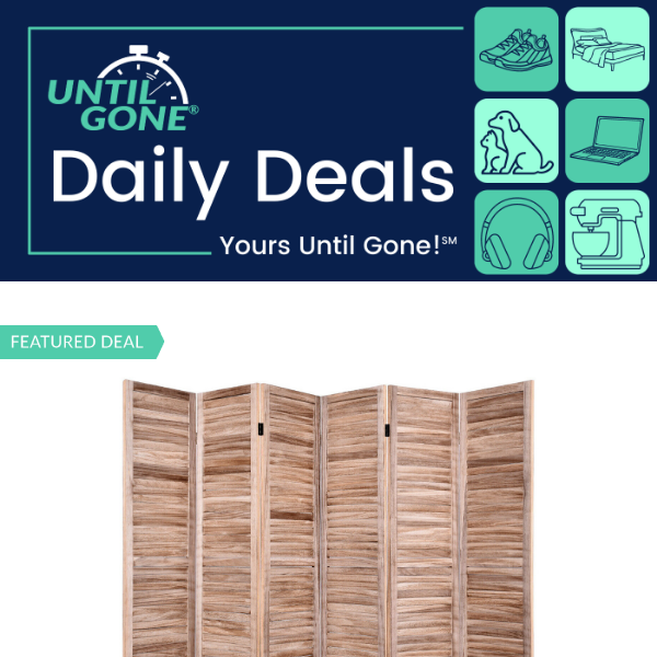 Venetian Room Divider | Portable Pressure Washer | Rattan Table with Rocking Chairs