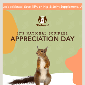 It's National Squirrel Appreciation Day 🐿️