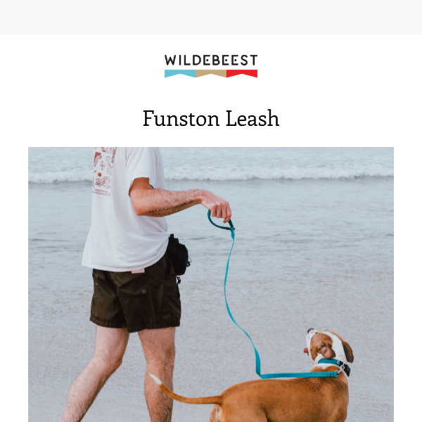 🔎 Discover More: Funston Leash