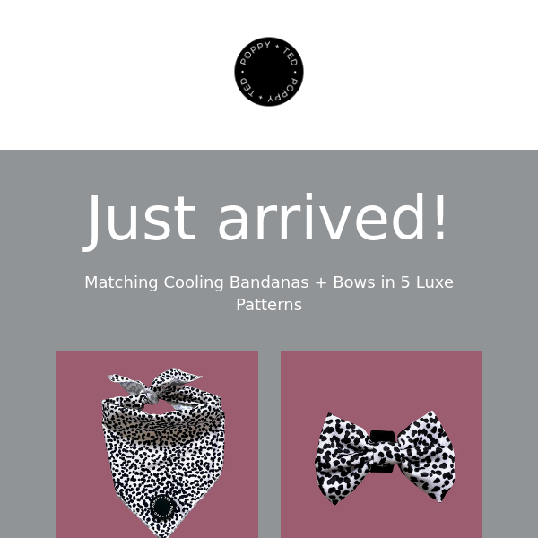 YOU ASKED, we listened! Luxe Collection Bows + Bandanas launch!